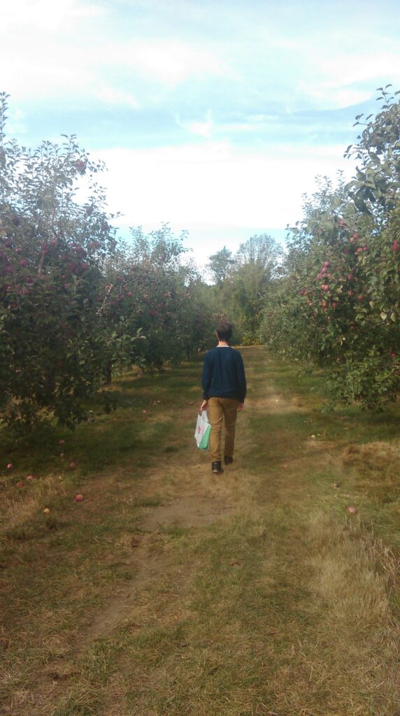 apple orchard
