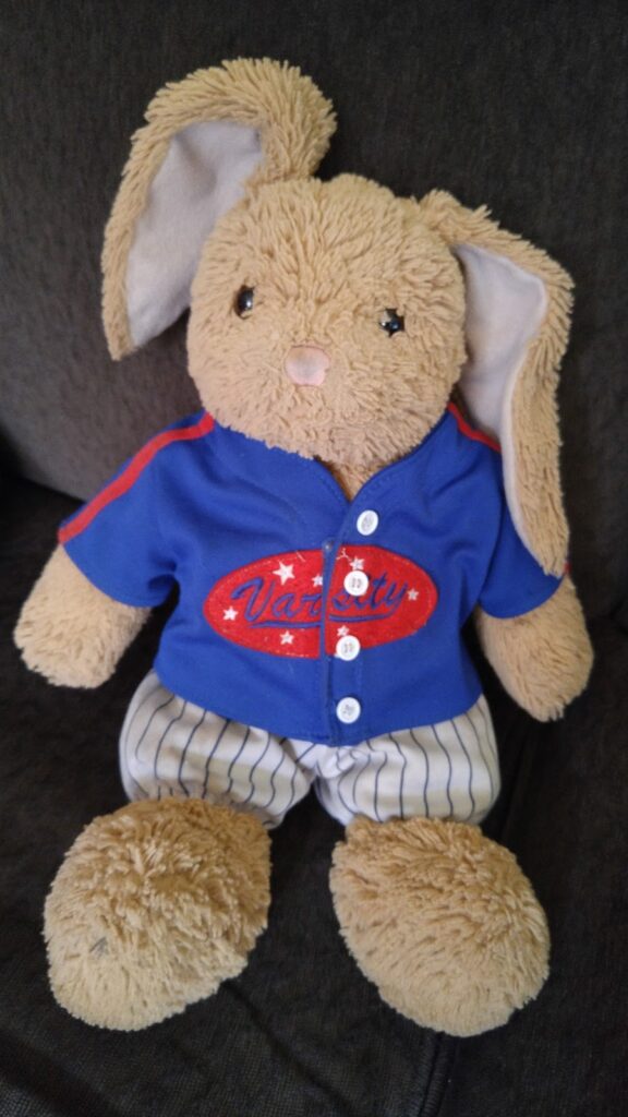 stuffed rabbit