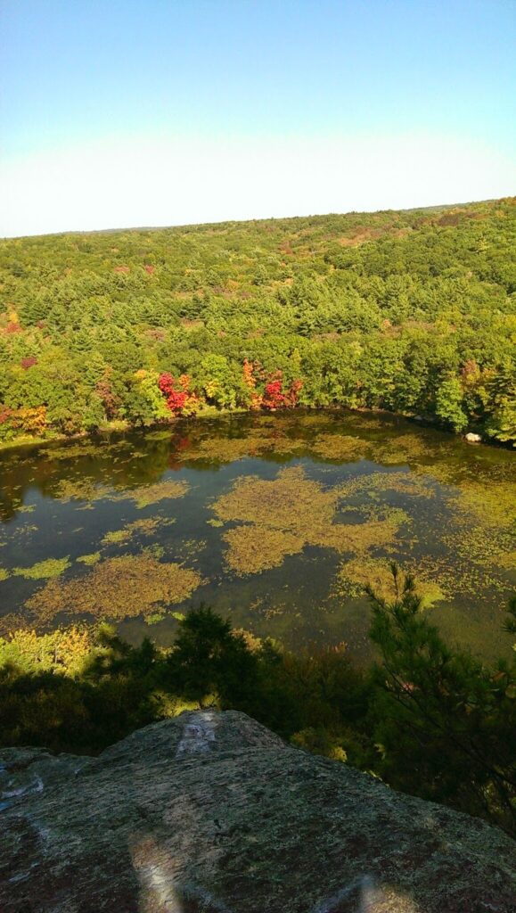 Old Furnace state park