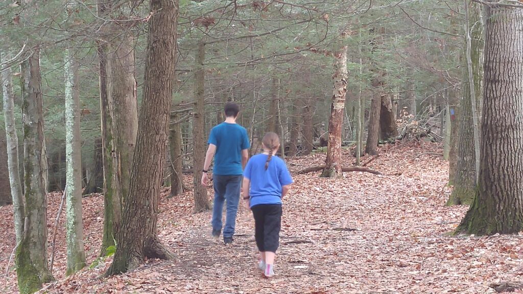 a walk in the woods