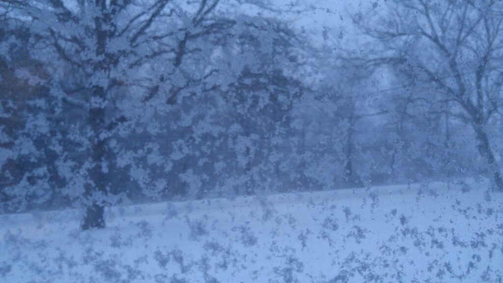 snow scene