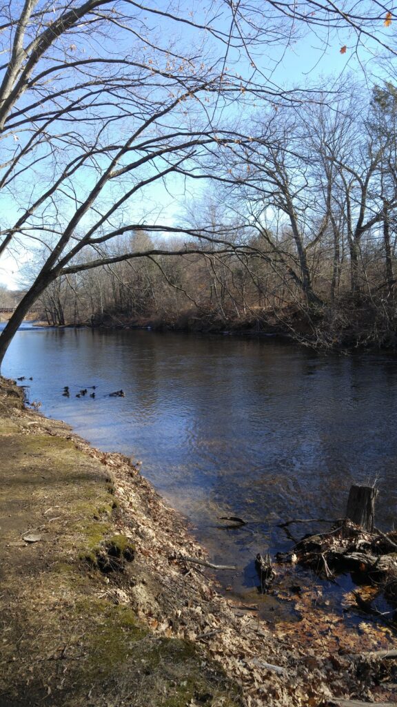 river scene