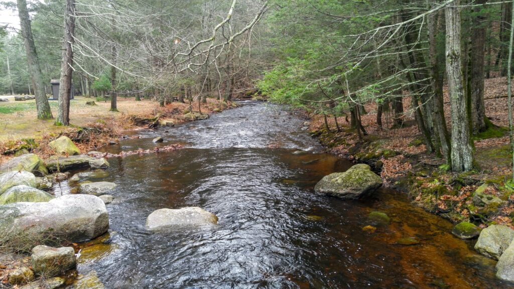 walk by the stream