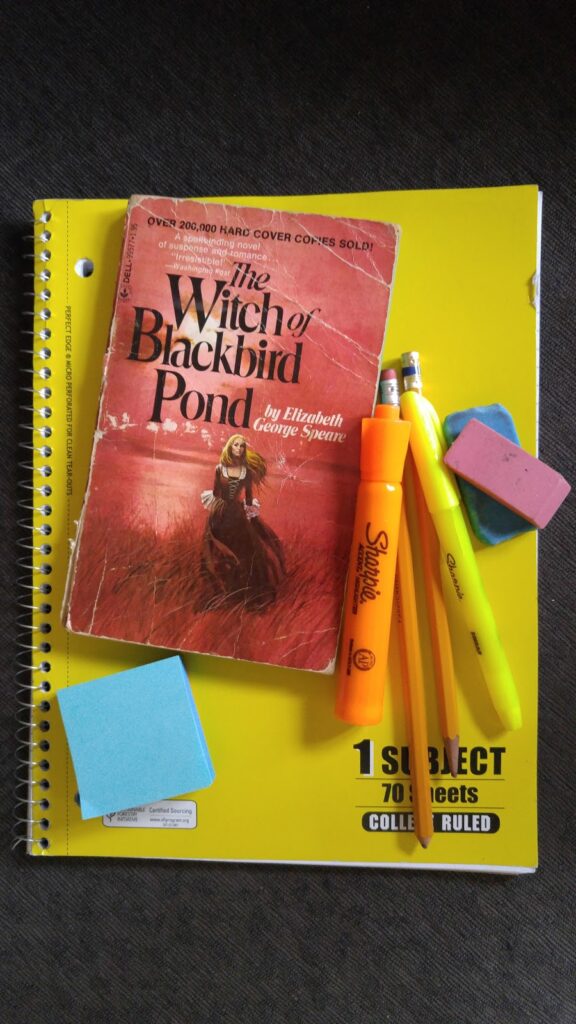 The Witch of Blackbird Pond