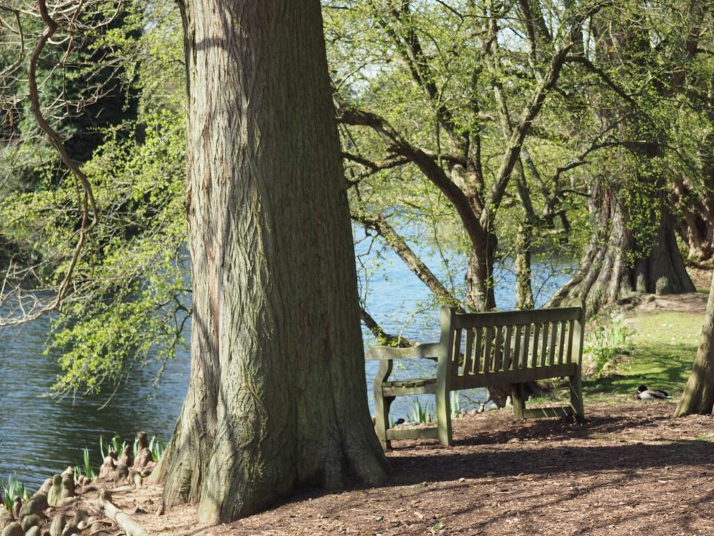 Kew Gardens