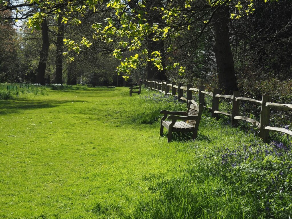 Kew Gardens