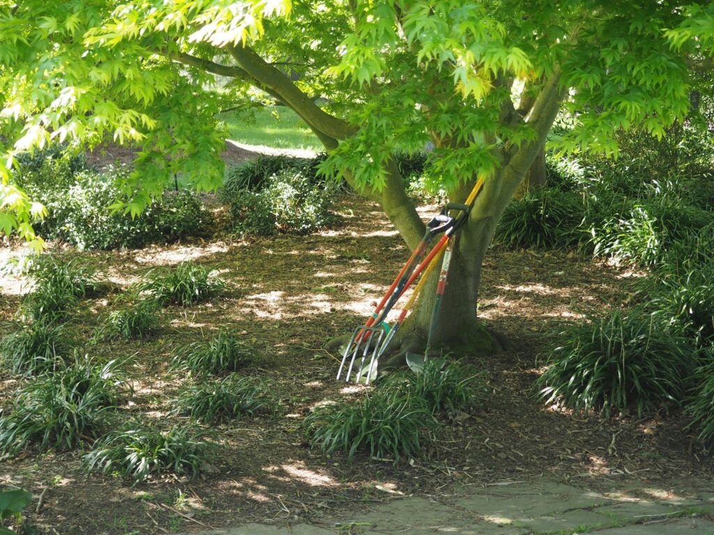 Kew Gardens