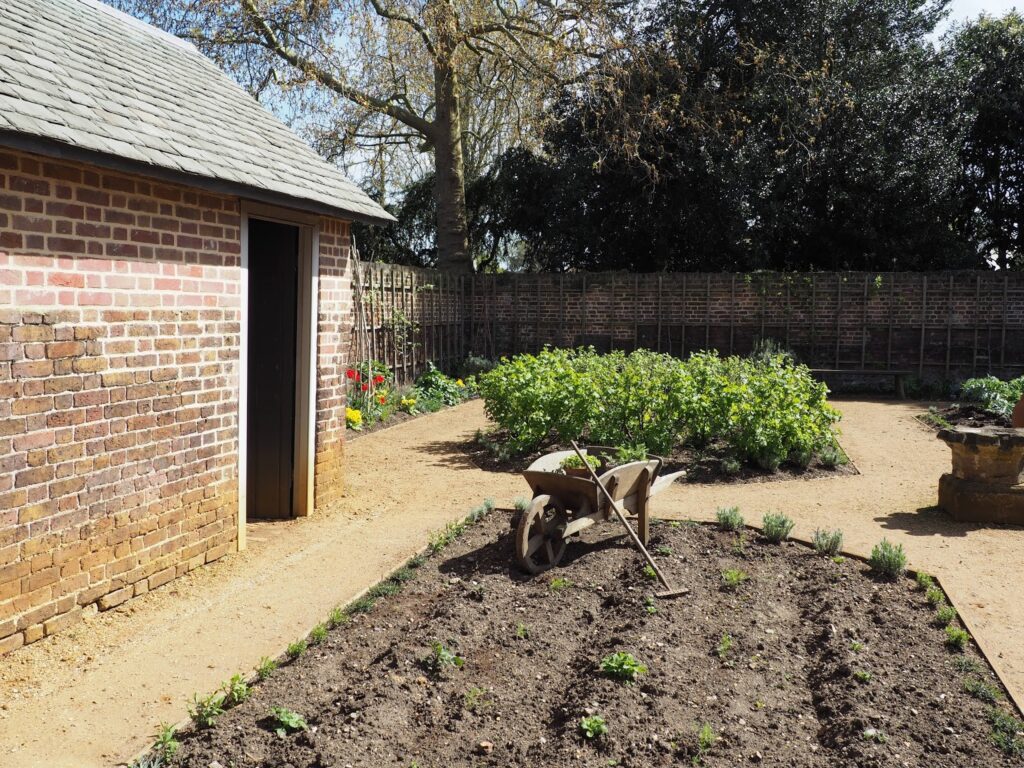 Kew palace--kitchen garden