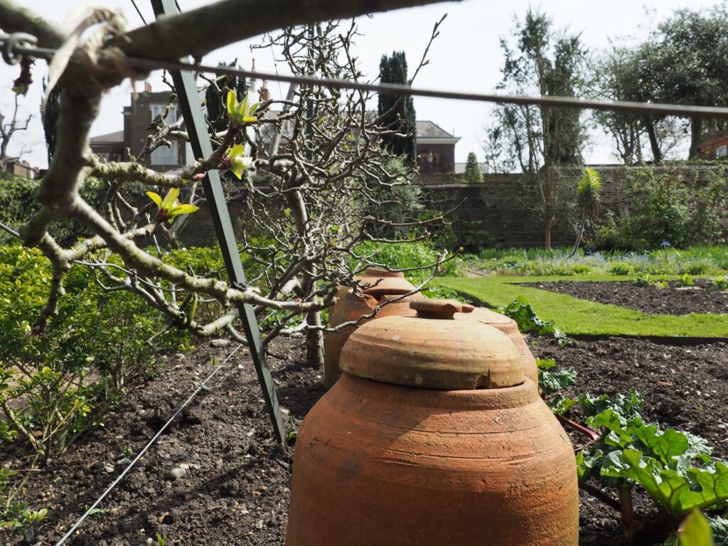 London--garden