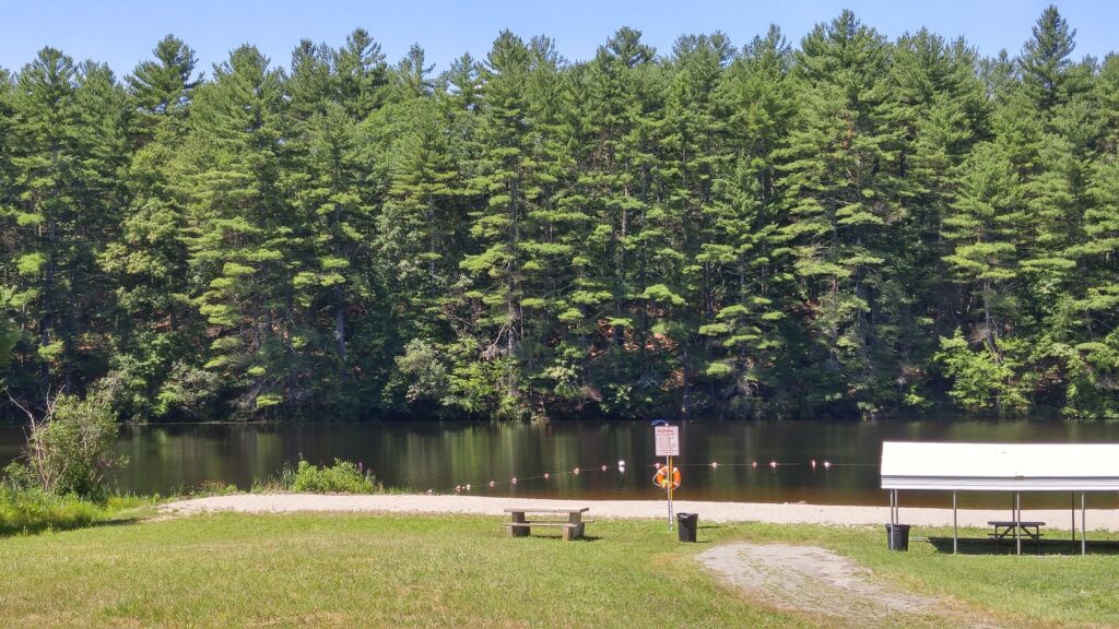 swimming pond