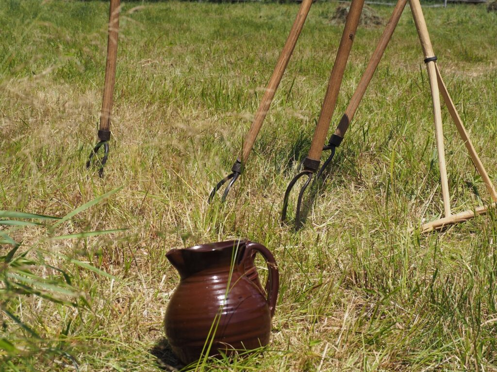 summer field