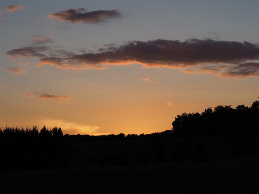 sunset