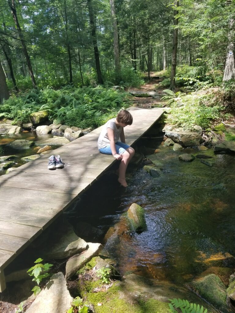 pulaski state park