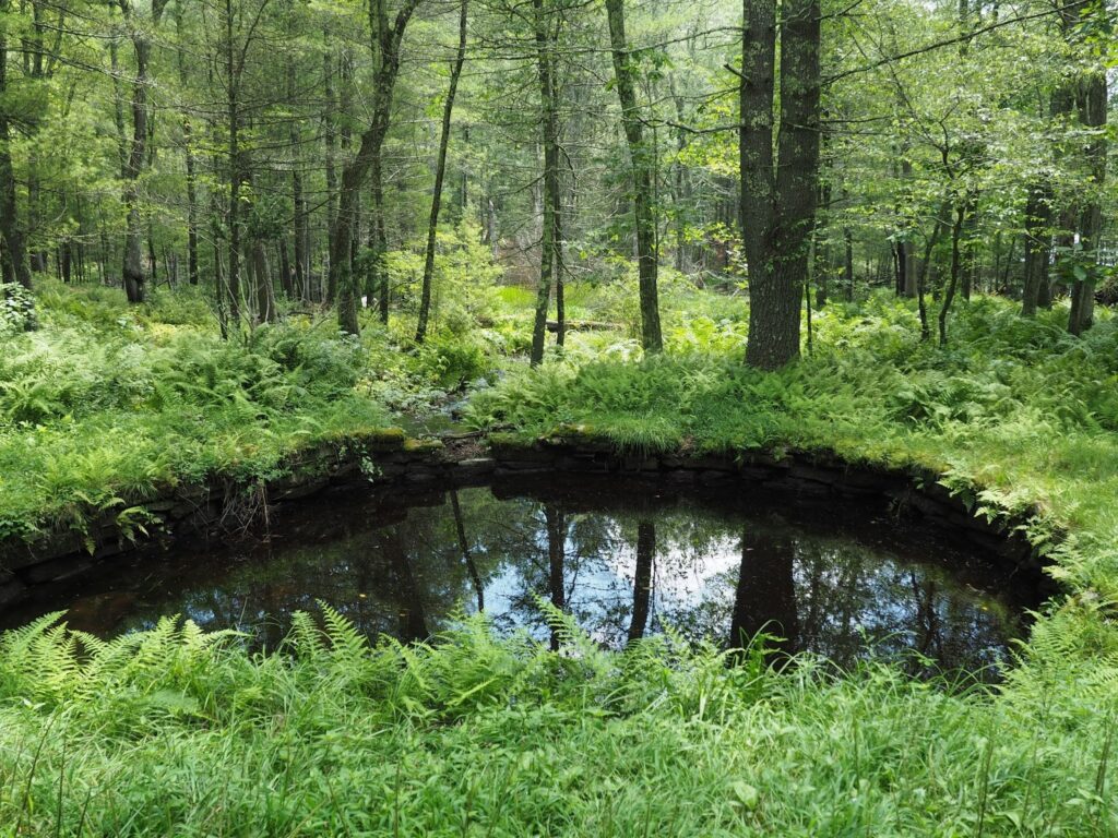 pulaski state park