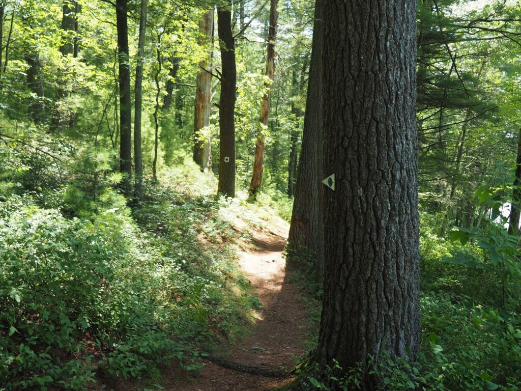 pulaski state park
