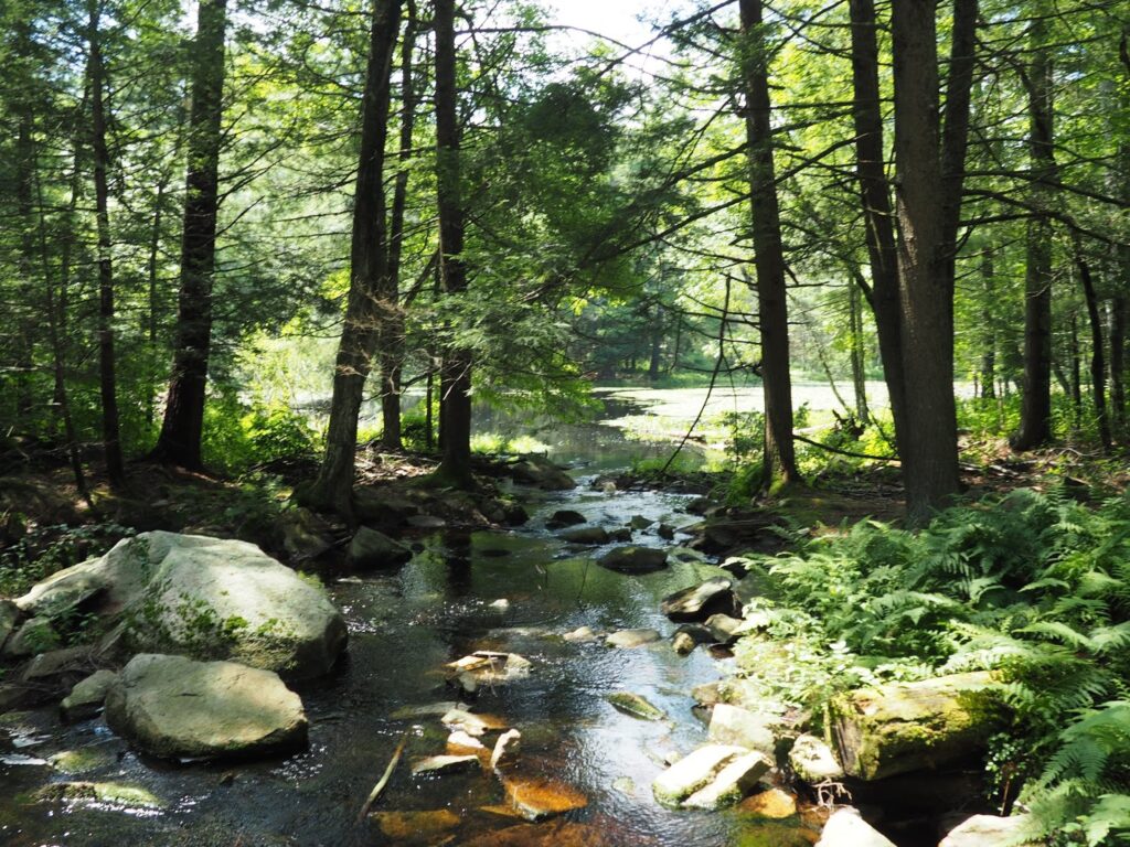 pulaski state park