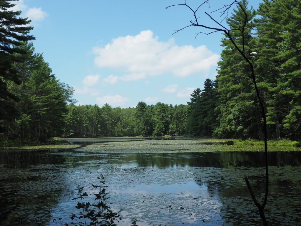 pulaski state park