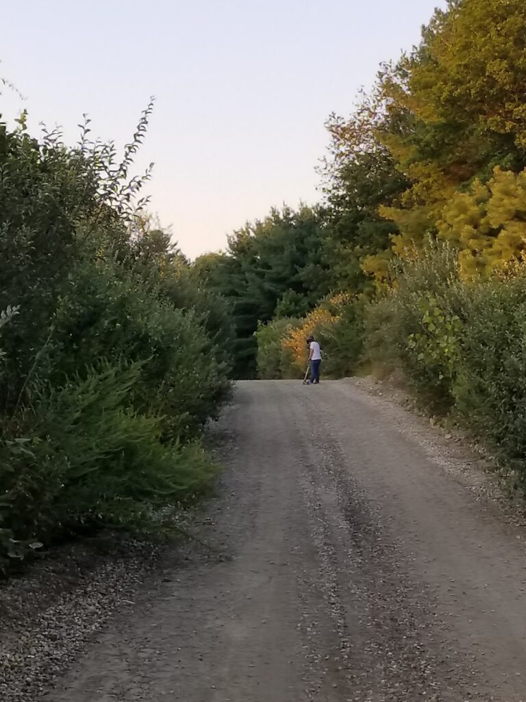 dirt road walk