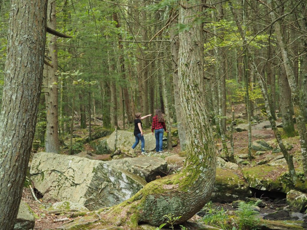 Old Furnace State Park