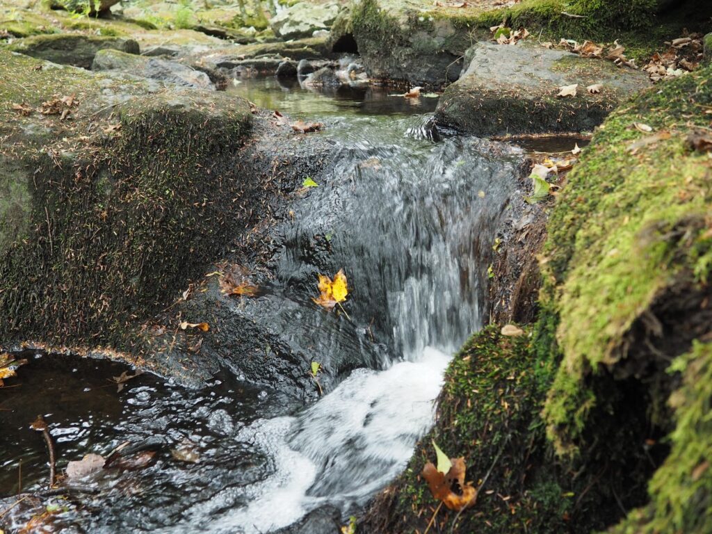 Old Furnace State Park