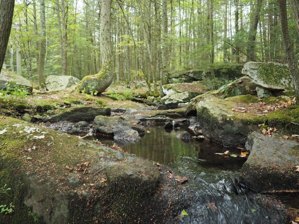 Old Furnace State Park