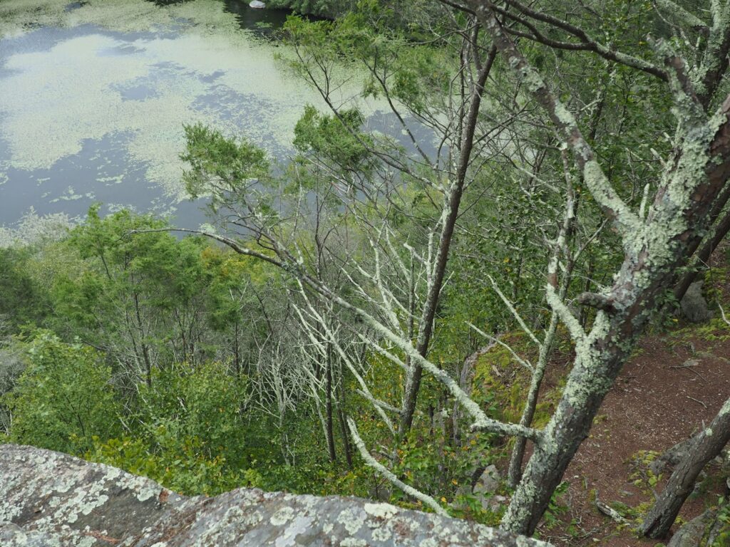 Old Furnace State Park