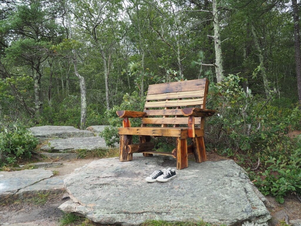 Old Furnace State Park