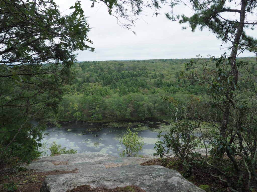 Old Furnace State Park