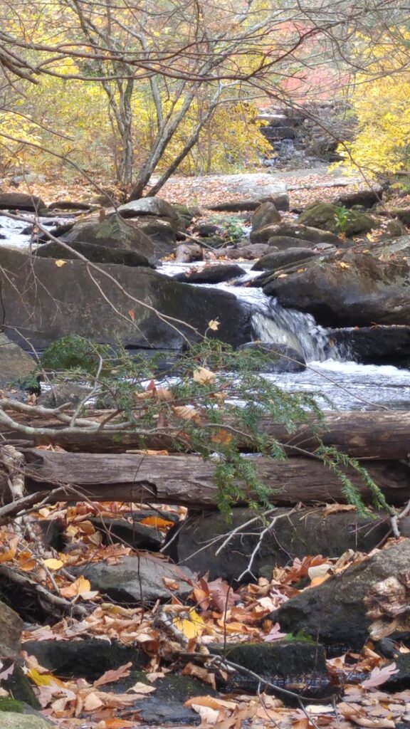 autumn in New England