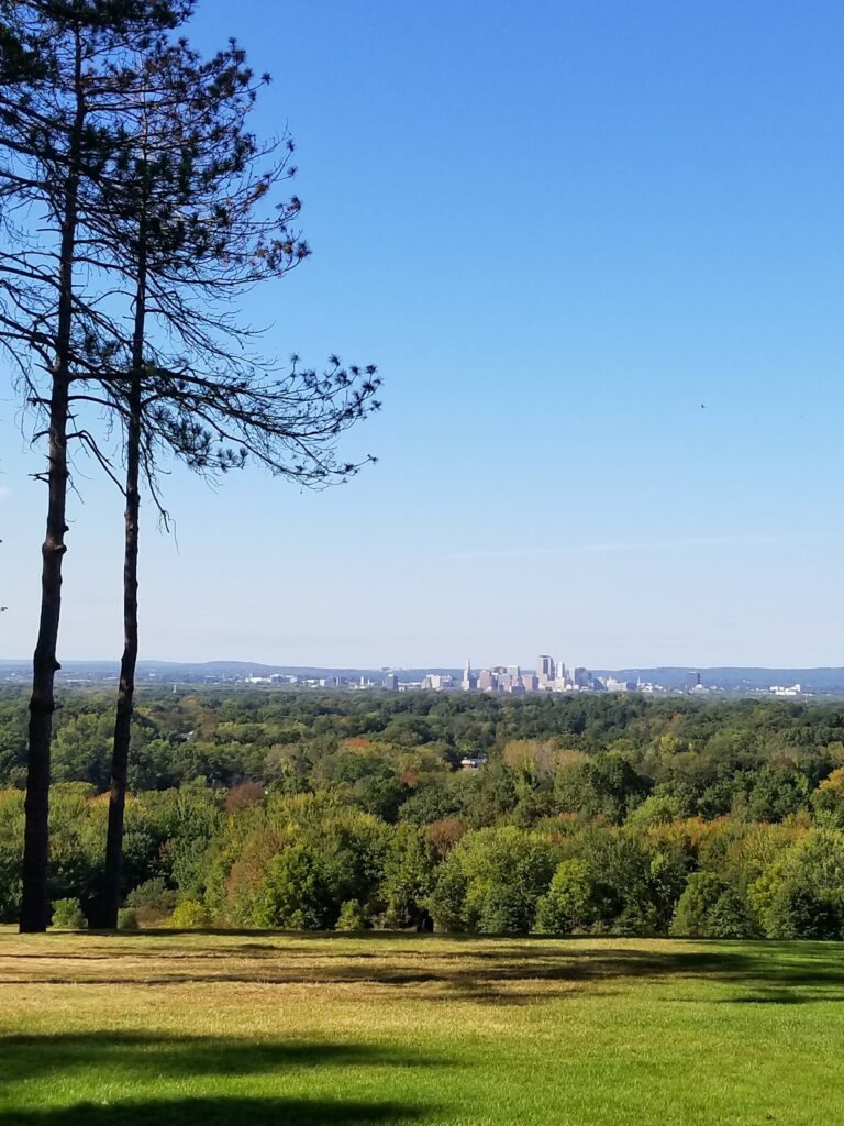 Wickham Park