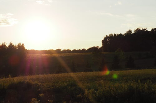 sunset over fields