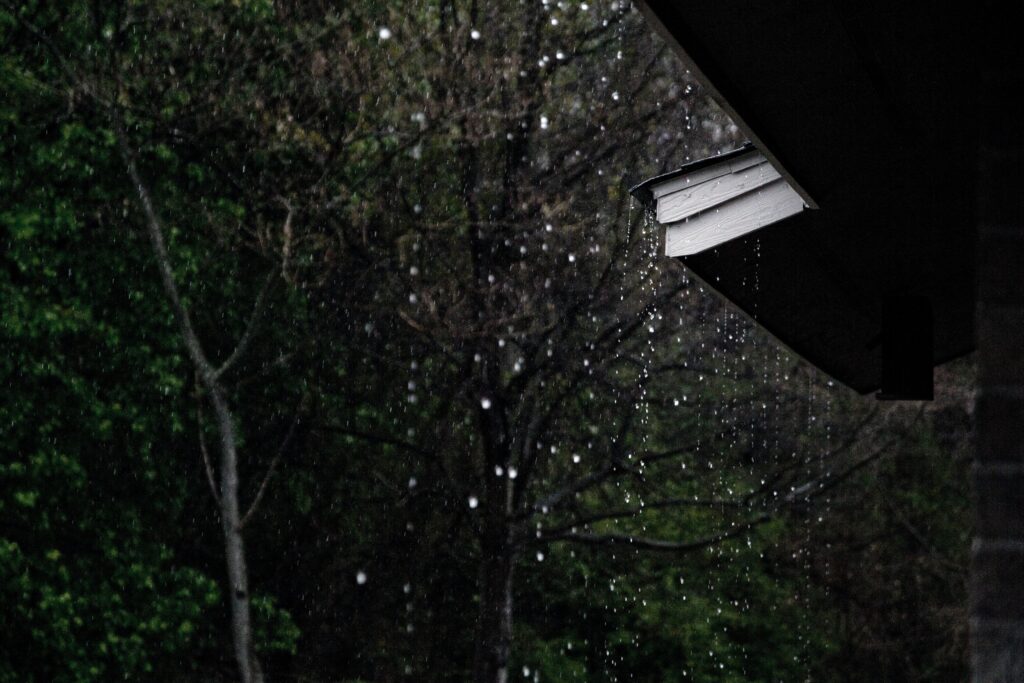rain dripping off the eaves of a house and off the trees.